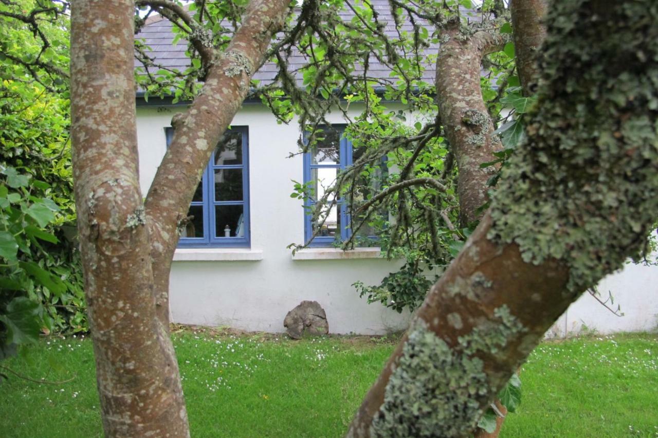 Muckle Flugga Villa Goleen Dış mekan fotoğraf